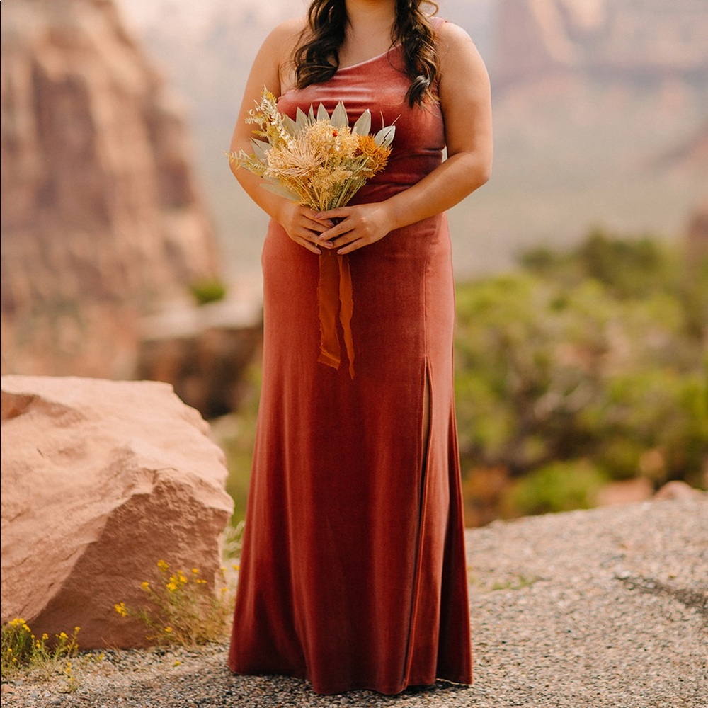 Jenny Yoo Cybill Velvet Bridesmaid Dress In English Rose
